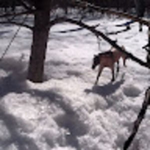 Meet your Posher, Ava